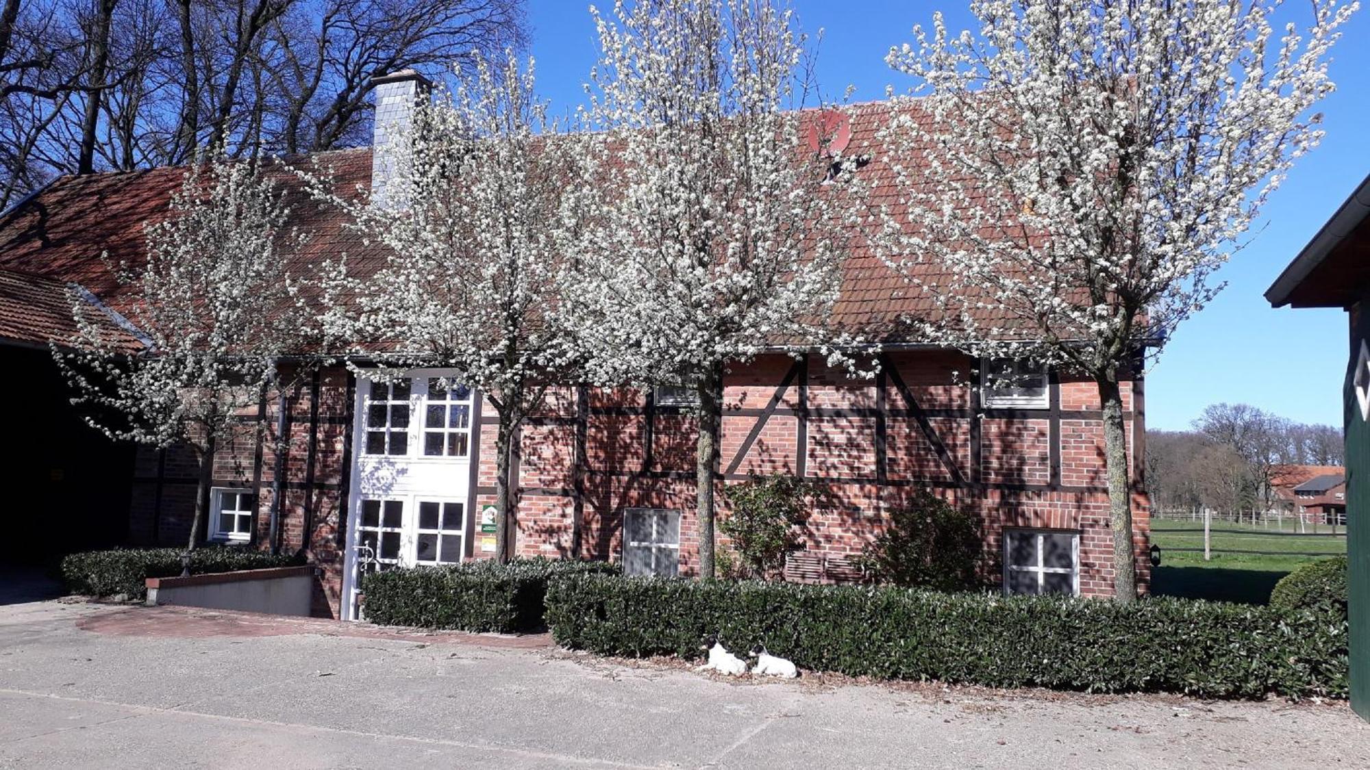 Landhaus Am Esch Warendorf Exterior photo